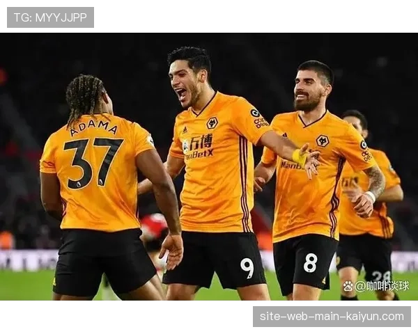 英超保级区形势错综复杂 狼队仅积十分垫底形势严峻